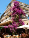 Altstadt Korfu